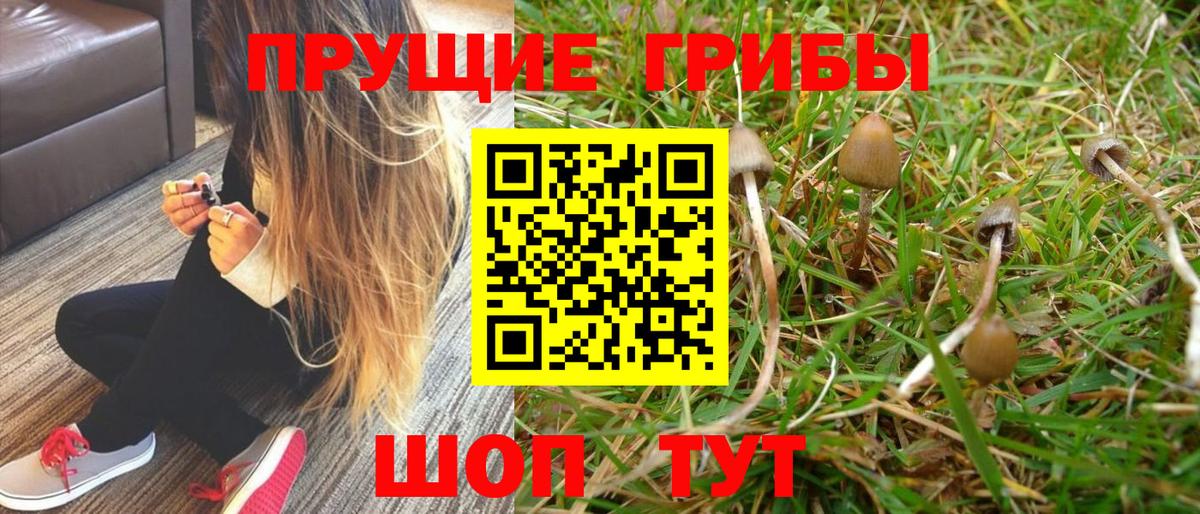 Комсомольск-на-Амуре  наркошоп  Вход с VPN  Галлюциногенные грибы Magic Shrooms 