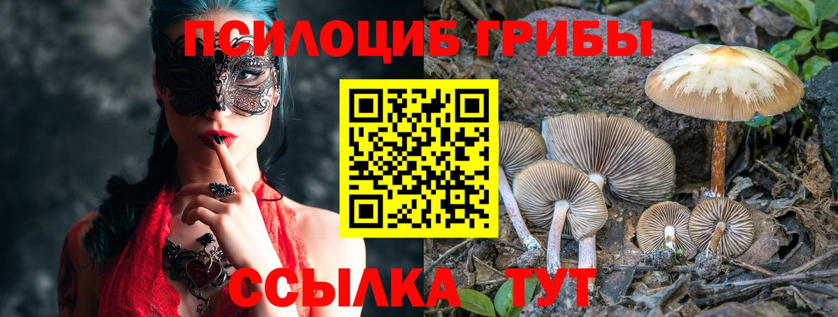 Галлюциногенные грибы Psilocybine cubensis Комсомольск-на-Амуре